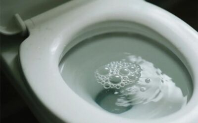 Why Is My Toilet Bubbling (And Should I Be Worried)?
