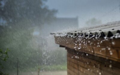 A Queenslander’s Guide To Stormproof Plumbing